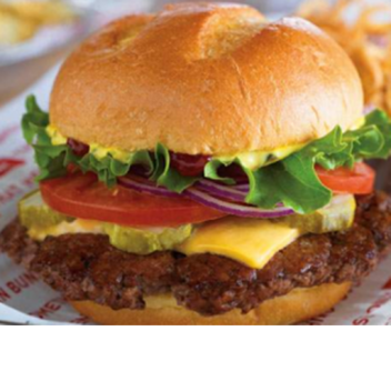 The admin of all admin