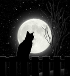 Black_Cat_Games