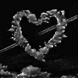 ˚♡Let