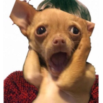 Poor doggy