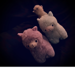 The cool llama squad