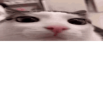 har¡