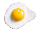 Friedegg Studios