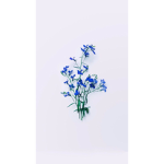 b l u e f l o w eｒ