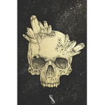 ~DÃRKSÏDE~