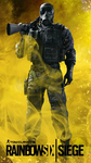 R6 is better