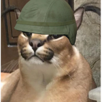 FLOPPA ARMY RIGHT NOW