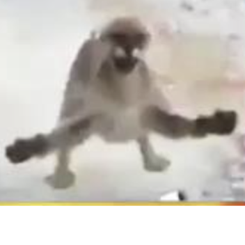 SCARY GAME WITH SCAYR HTIGNS AAAFHSAOFAUSOF AOSG