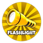 flash light