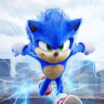 Sonic SpeedRun 
