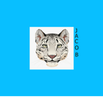 The Jacob Plays Official Group! Team Snow Leopards