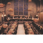 -~ Harry Potter Fans ~-