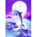 Diving dolphin