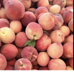Peachville Royal Family