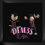 Dim3s Team