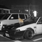 ニキのぐるぺー