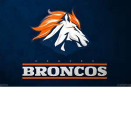 ★SFL★ - Broncos Practice Stadium