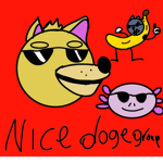 The nice doge group
