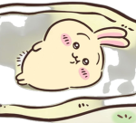 うさぎ