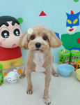 폭망듀 팬클럽
