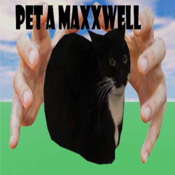 chill whit cats