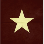 THE VIETNAM REPUBLICAN ARMY
