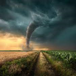 Tornado Chasers
