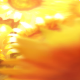 🌻