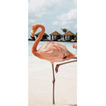 We Love Da Flamingos