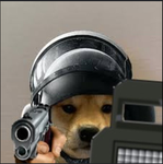 The doge avenger‘s