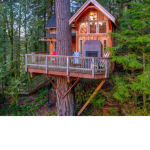 Normal treehouse fan club