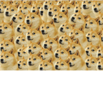 The Doge Division