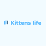 kittens life fan group