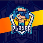 The pro play3rs