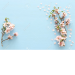 Pastel Blossoms