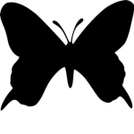 z . a . n . home store