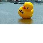 wet cheese ####