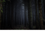 DarkHide