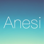 Anesi Airlines