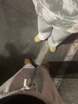 - coconuts aesthetics -