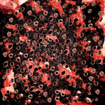 ̸̫̰̭̩̠͇̞͓͎͔̓͋͒̾̈́̈̔̆̍͑̓̀̐́̎͌̈́̒͒̿͌̃̓̋̍̆̎̊͛͂͑̎̚͘͜͠͝ͅ