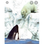 #Whales And Polar Bears