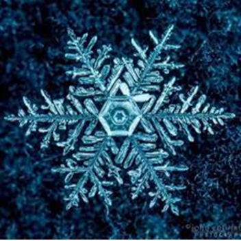 Freeze Tag (NEW GAME)