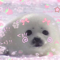 ❤︎🫧🎀🦭☁️