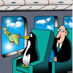 Football Airways