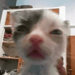 i cant remember my accounts