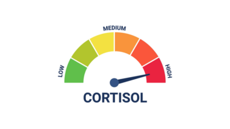 Jump Into Low Cortisol screenshot 1