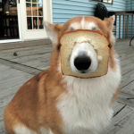 Frens!!!!