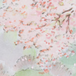 ‧˚❀‧.˚