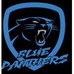 * The blue panthers *